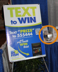 Text-to-Win