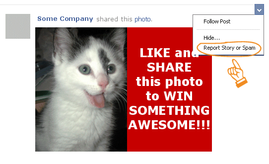 LIKE and SHARE this photo of a cute kitten to win something awesome!